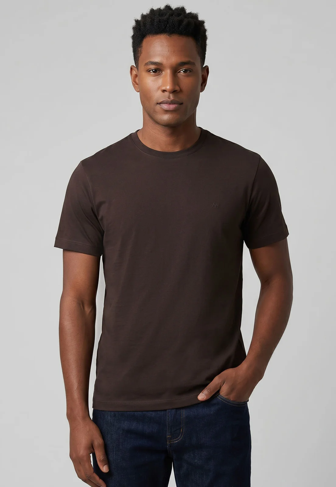 Camiseta Masculina Aramis Logo Marrom